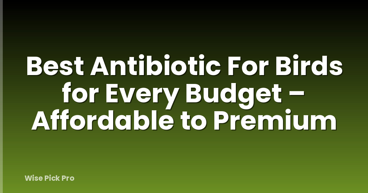 Best Antibiotic For Birds for Every Budget – Affordable to Premium
