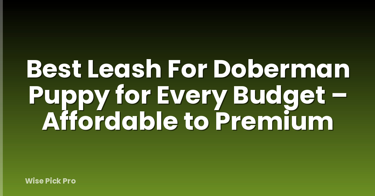 Best Leash For Doberman Puppy for Every Budget – Affordable to Premium