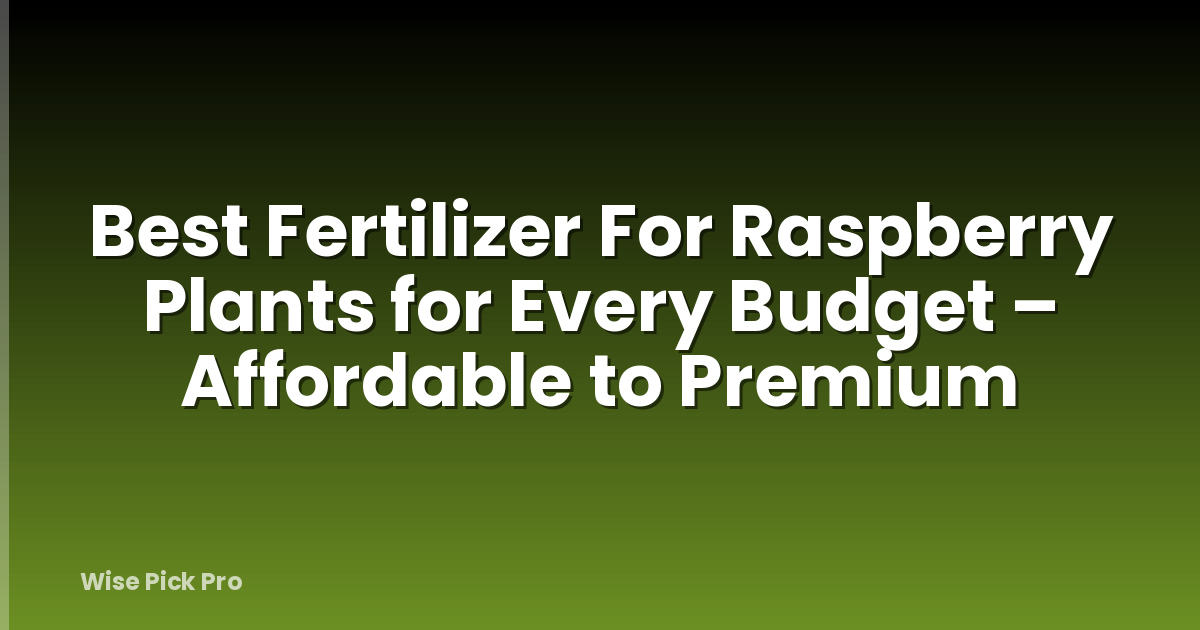 Best Fertilizer For Raspberry Plants for Every Budget – Affordable to Premium