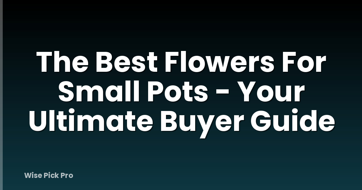 The Best Flowers For Small Pots - Your Ultimate Buyer Guide