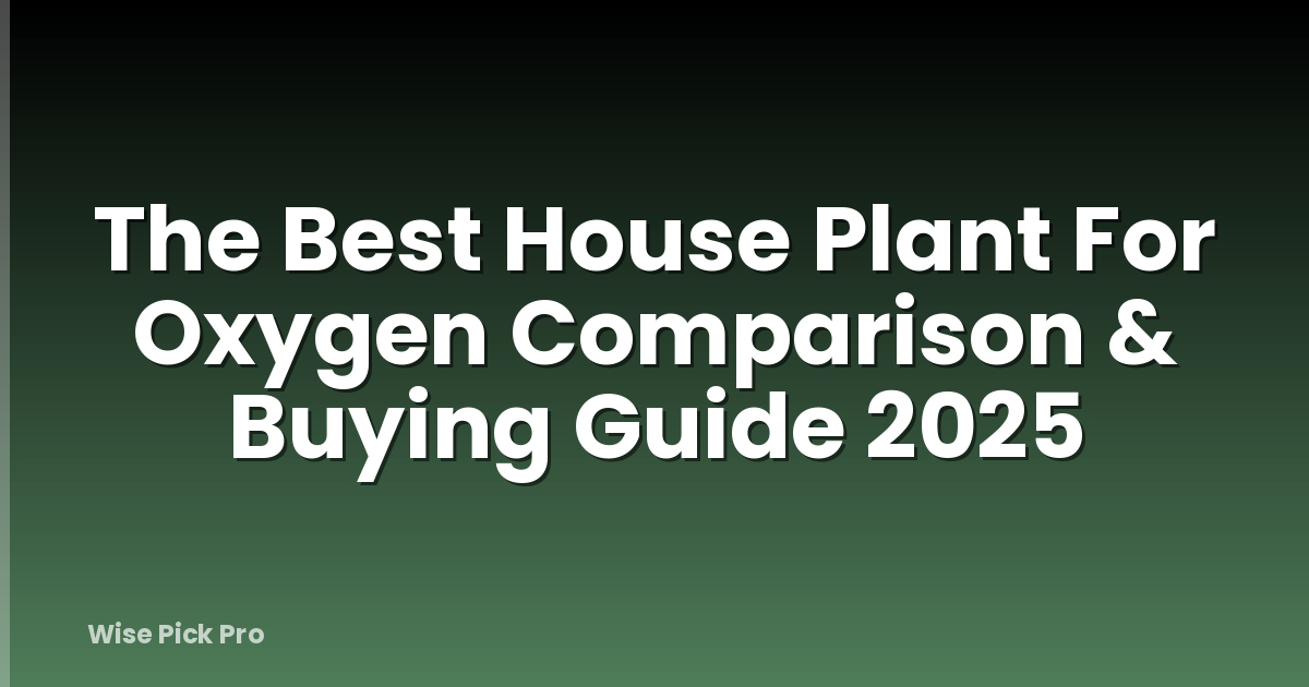 The Best House Plant For Oxygen Comparison & Buying Guide 2025