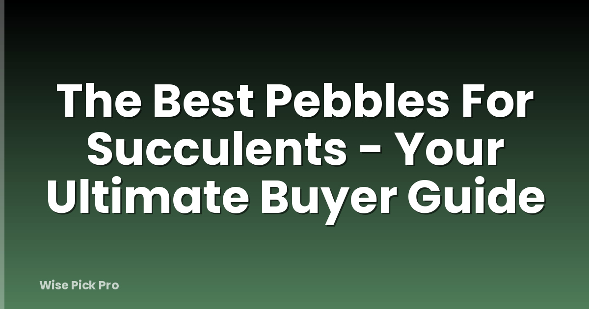 The Best Pebbles For Succulents - Your Ultimate Buyer Guide