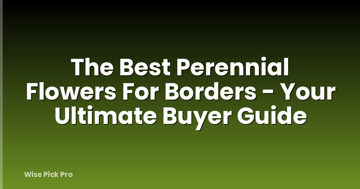The Best Perennial Flowers For Borders - Your Ultimate Buyer Guide