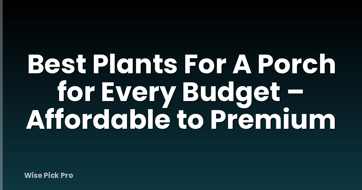 Best Plants For A Porch for Every Budget – Affordable to Premium