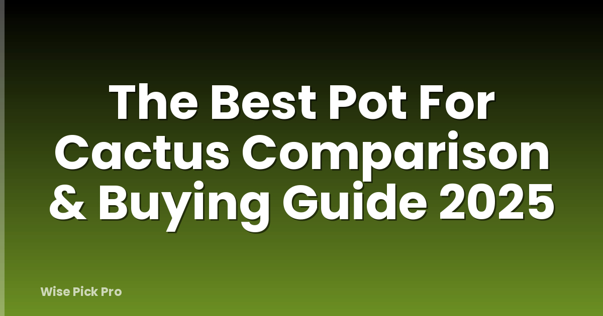 The Best Pot For Cactus Comparison & Buying Guide 2025
