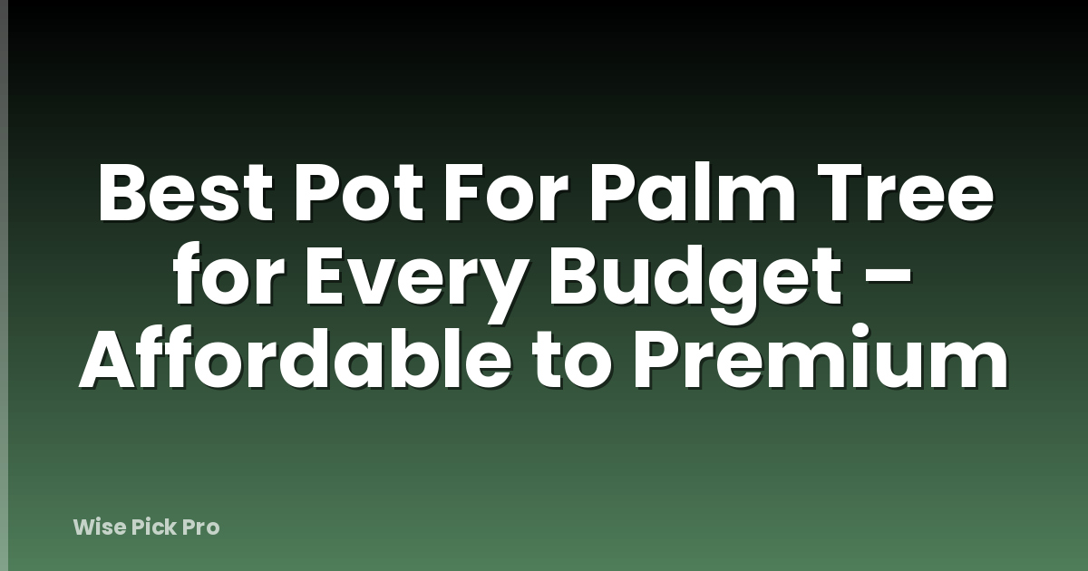 Best Pot For Palm Tree for Every Budget – Affordable to Premium
