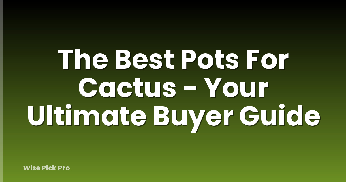 The Best Pots For Cactus - Your Ultimate Buyer Guide