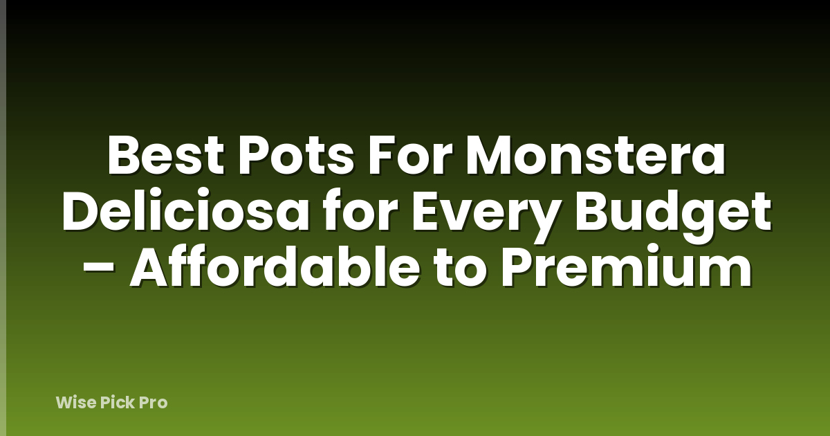 Best Pots For Monstera Deliciosa for Every Budget – Affordable to Premium
