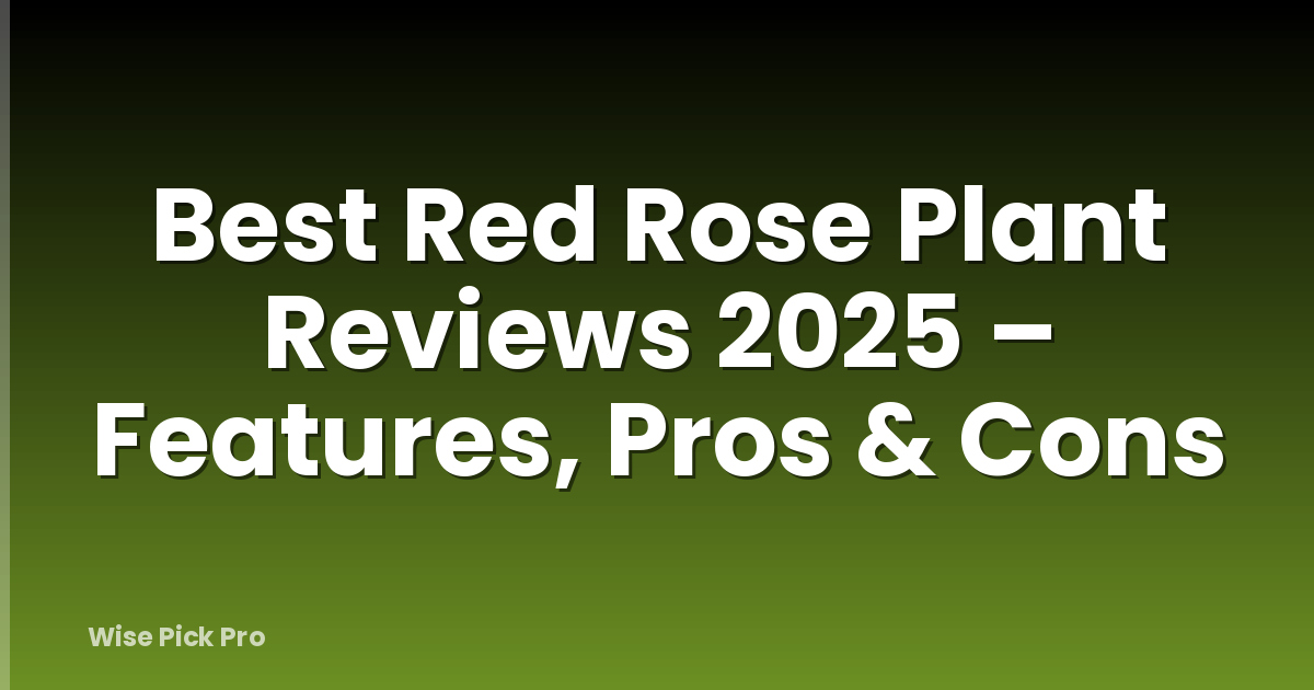 Best Red Rose Plant Reviews 2025 – Features, Pros & Cons