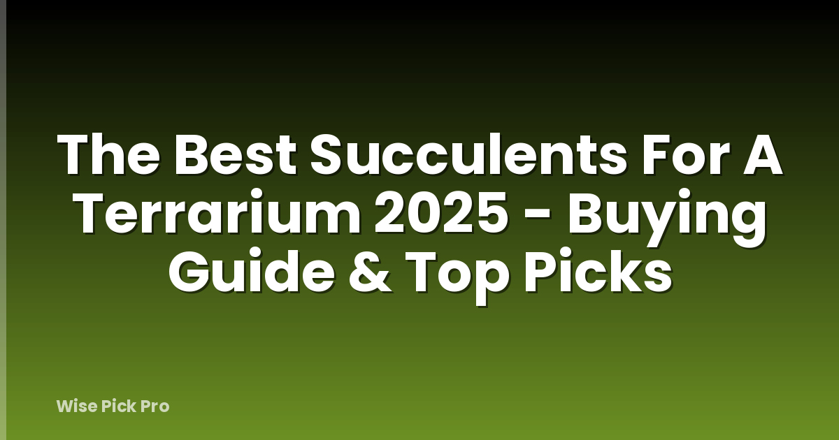 The Best Succulents For A Terrarium 2025 - Buying Guide & Top Picks