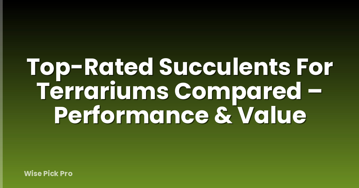 Top-Rated Succulents For Terrariums Compared – Performance & Value