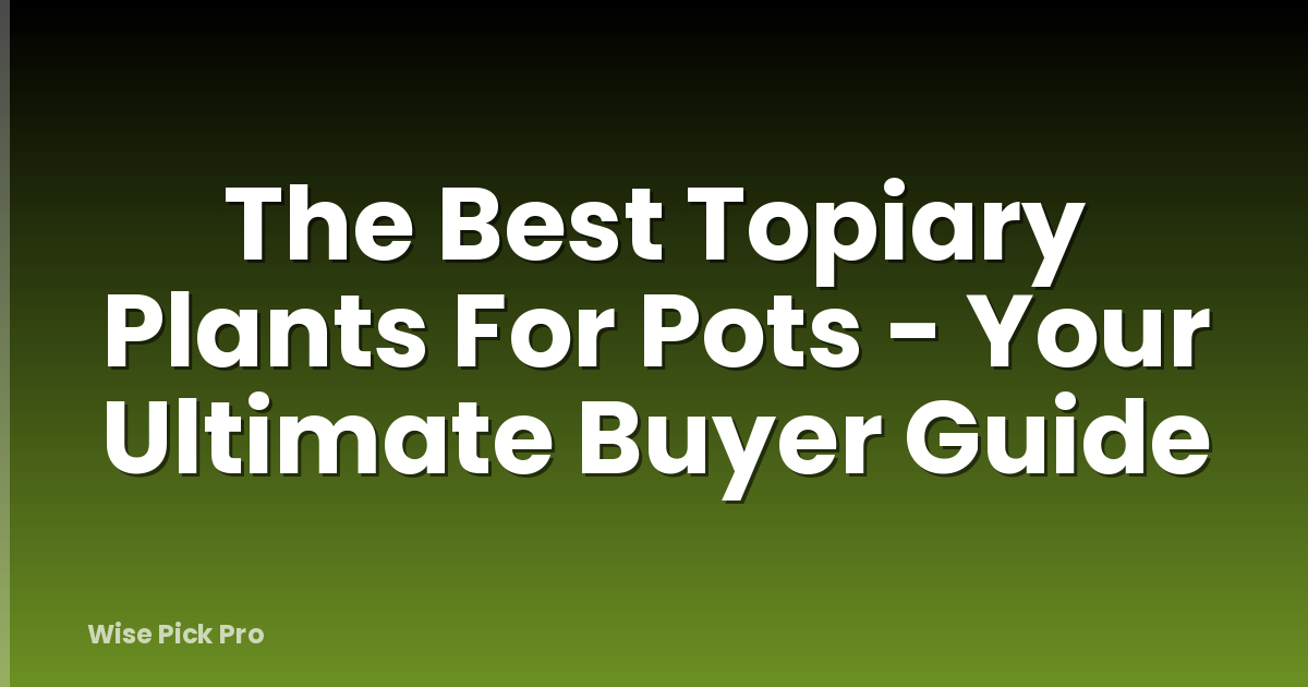 The Best Topiary Plants For Pots - Your Ultimate Buyer Guide